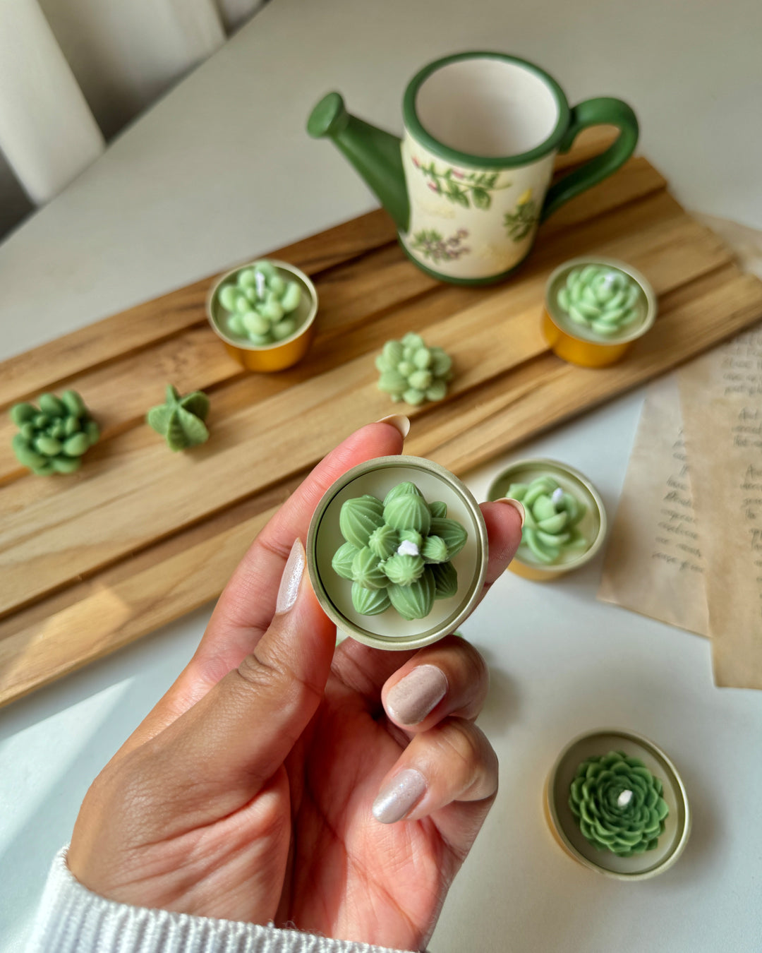 Succulent candles, plant candle which are handmade, made from pure soy wax and made in India