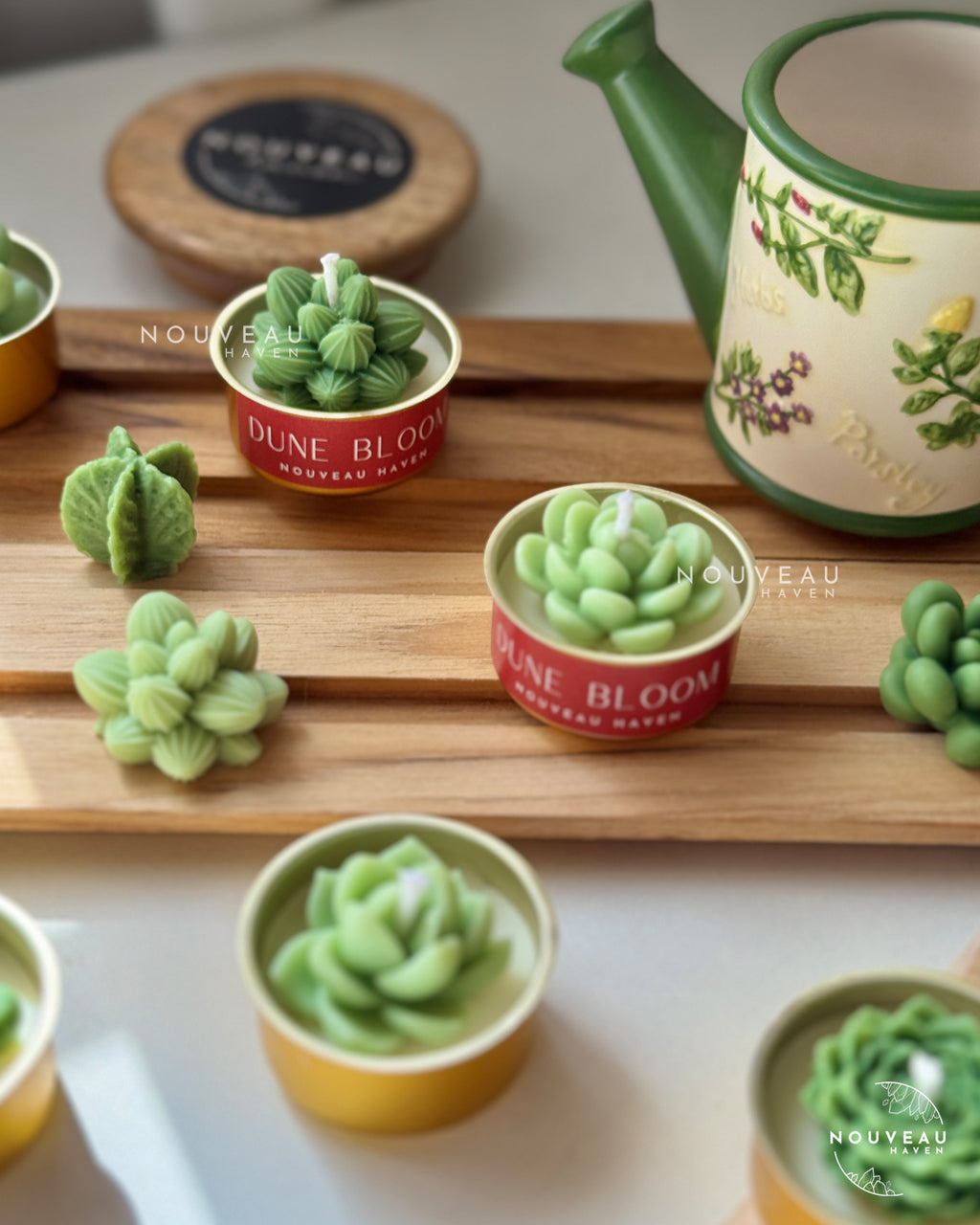 Dune Bloom Succulent Tea-Light Candles